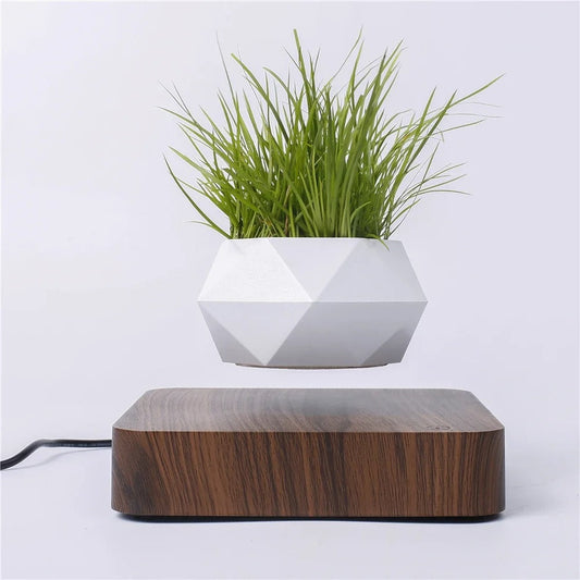 Magic Pot Schwimmender Blumentopf – Faszinierende Raumdekoration Mit Stil 0
