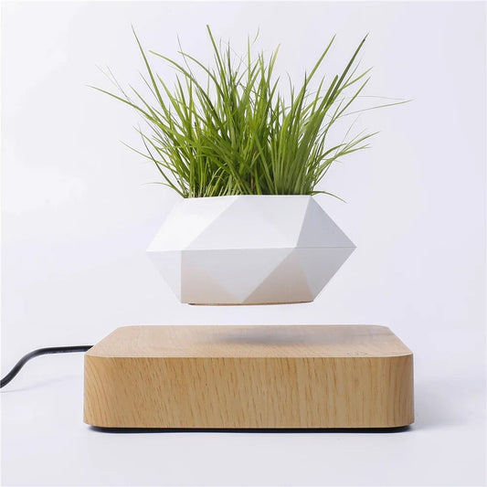 Magic Pot Schwimmender Blumentopf – Faszinierende Raumdekoration Mit Stil 1