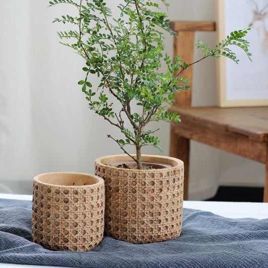 Pflanzkübel Aus Zement Mit Rattanstruktur – Elegante Präsentation Für Ihre Pflanzen 1